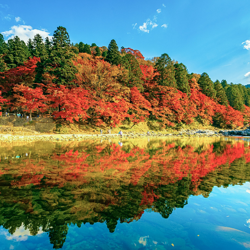 紅葉の景色